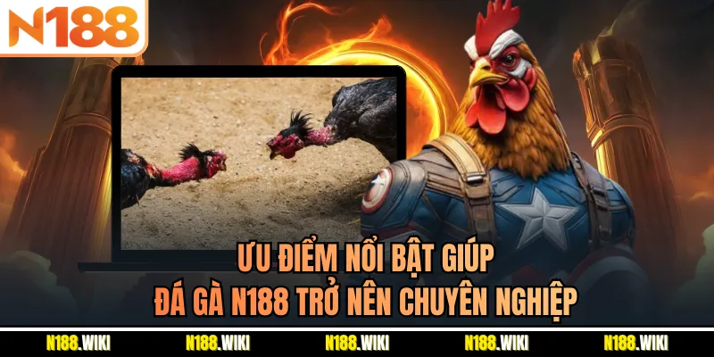Ưu điểm nổi bật giúp đá gà N188 trở nên chuyên nghiệp